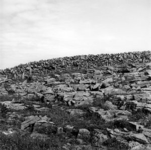 Mariana Cook Photographs A Gallery Martha's Vineyard